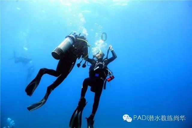 逃离梦想之家