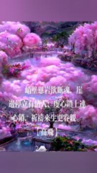 空中战队